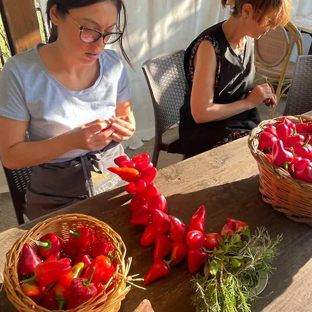 Ficarazzi Morano Calabro