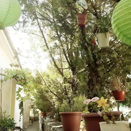 Apartamento Ficarazzi Morano Calabro