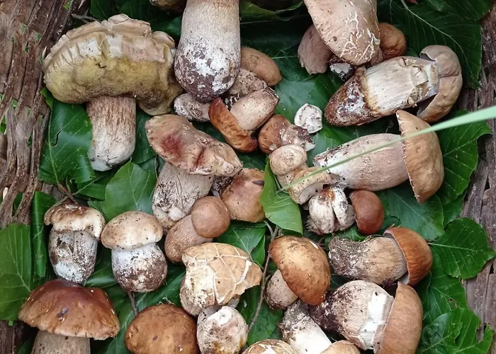 Appartement Ficarazzi *