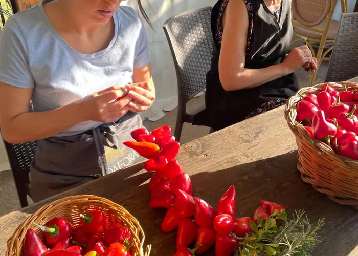 Ficarazzi Morano Calabro