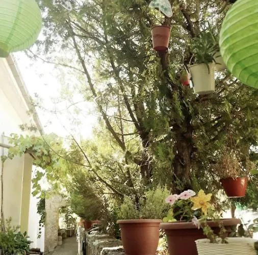 Appartement Ficarazzi Morano Calabro